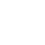 Lyzr